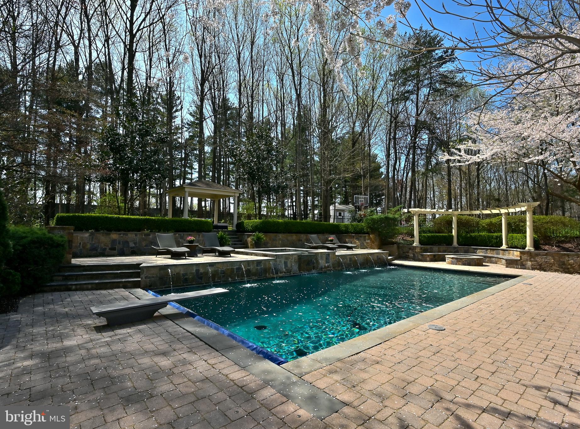 10303 Forest Maple Road Vienna, VA 22182 - Photo 49 of 55 Pool