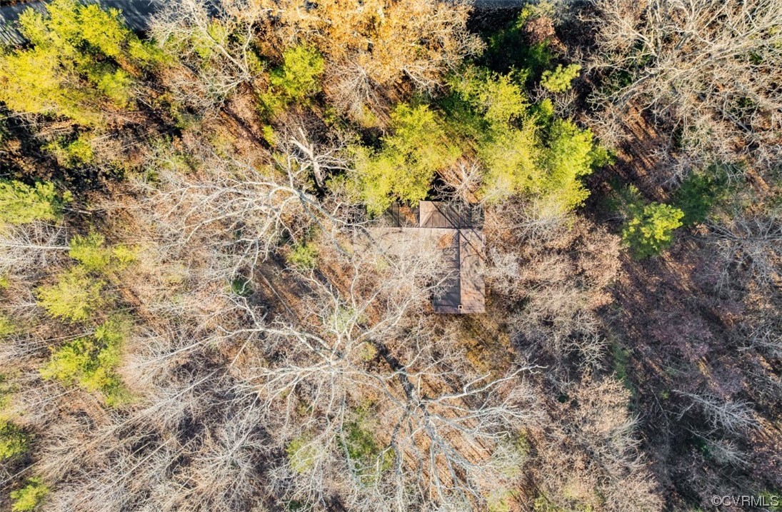 0 Ancient Acres Road Beaverdam, VA 23015 - Photo 11 of 12 a view of a tree with a yard