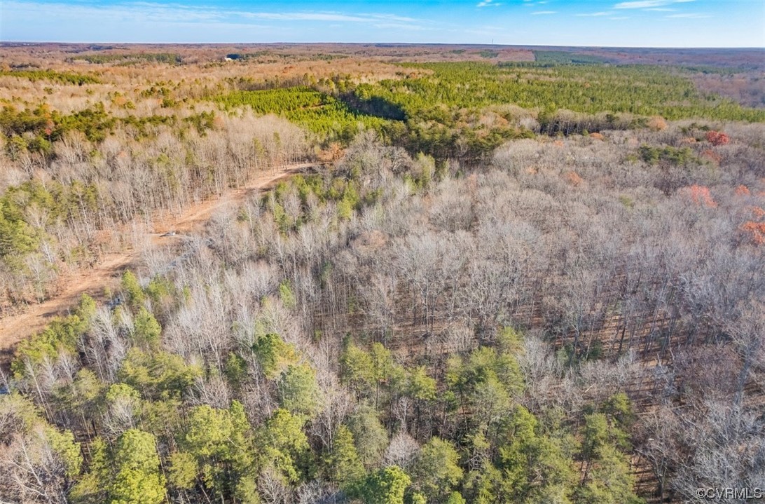0 Ancient Acres Road Beaverdam, VA 23015 - Photo 2 of 12 a view of an outdoor space and a lake view