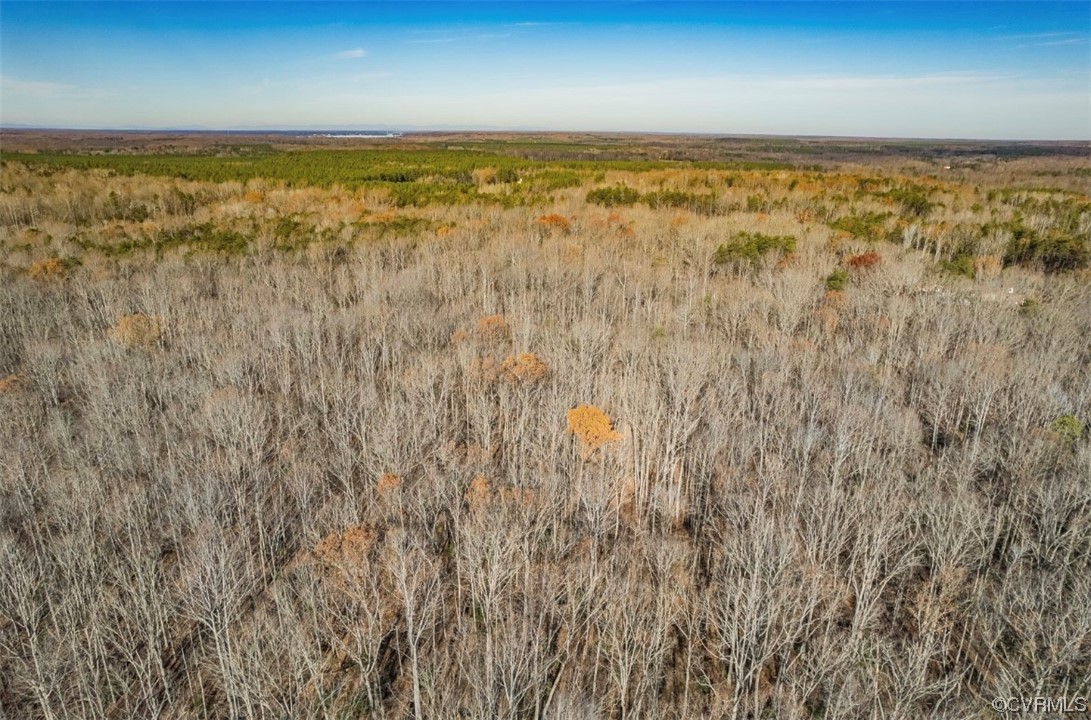 0 Ancient Acres Road Beaverdam, VA 23015 - Photo 3 of 12 a view of an ocean