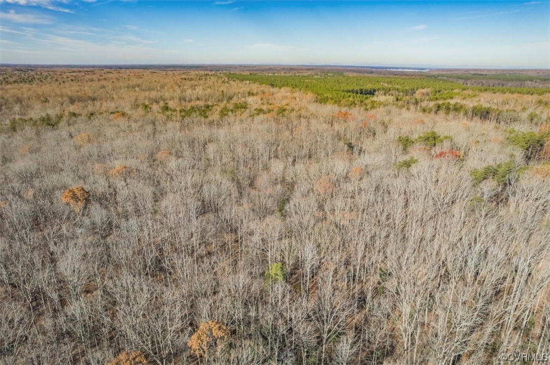0 Ancient Acres Road Beaverdam, VA 23015 - Photo 4 of 12 a view of an ocean