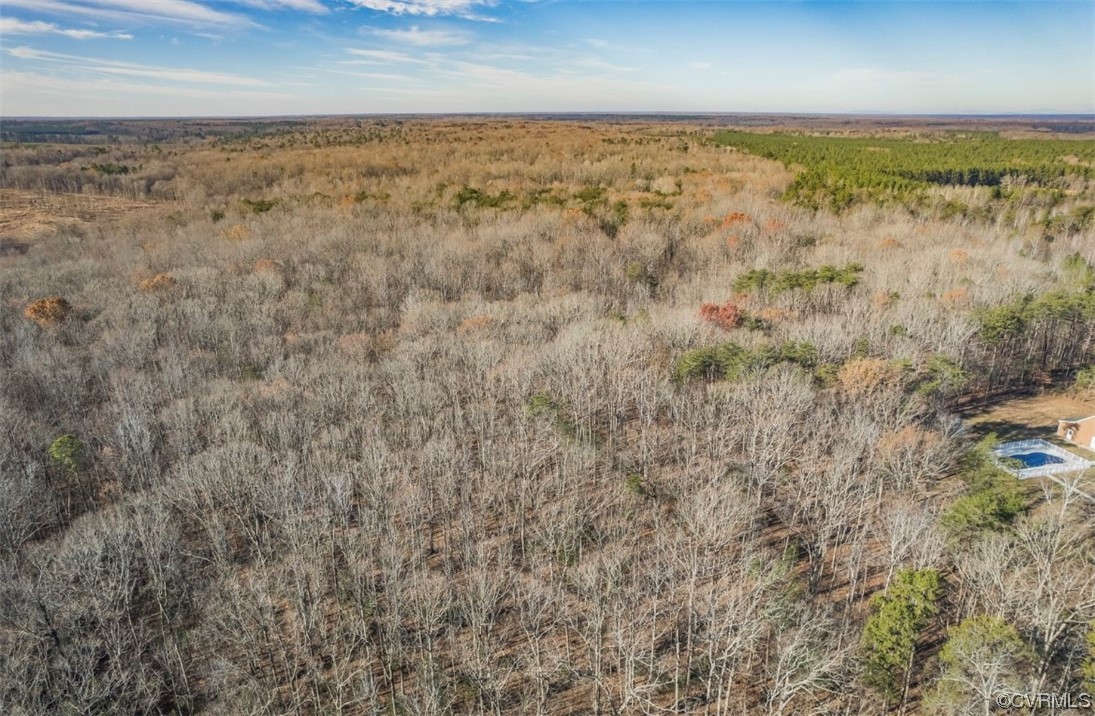 0 Ancient Acres Road Beaverdam, VA 23015 - Photo 5 of 12 a view of an ocean