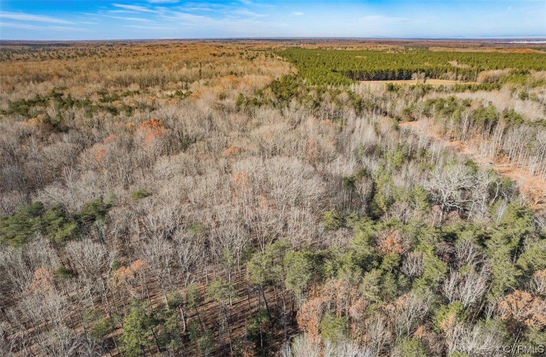 0 Ancient Acres Road Beaverdam, VA 23015 - Photo 6 of 12 a view of an outdoor space and a mountain view