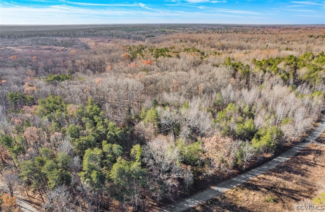 0 Ancient Acres Road Beaverdam, VA 23015 - Photo 7 of 12 a view of a yard with a street