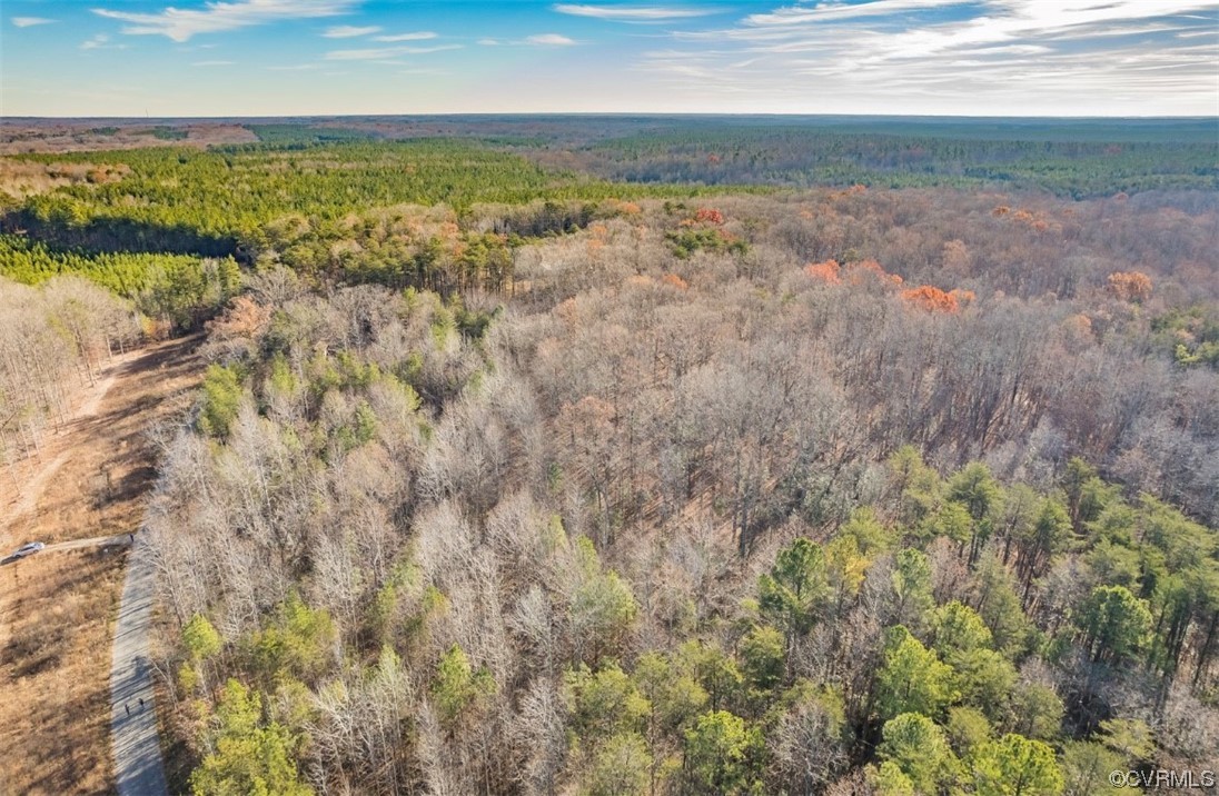 0 Ancient Acres Road Beaverdam, VA 23015 - Photo 9 of 12 a view of an ocean view