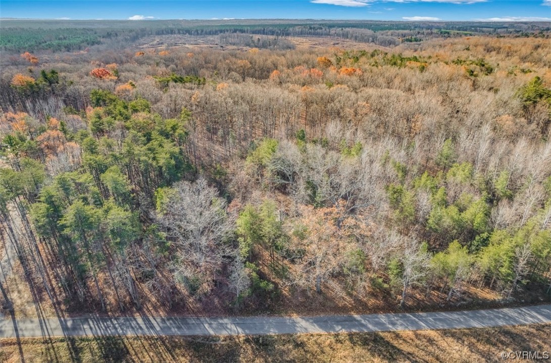 0 Ancient Acres Road Beaverdam, VA 23015 - Photo 10 of 12 a view of an outdoor space with wooden floor