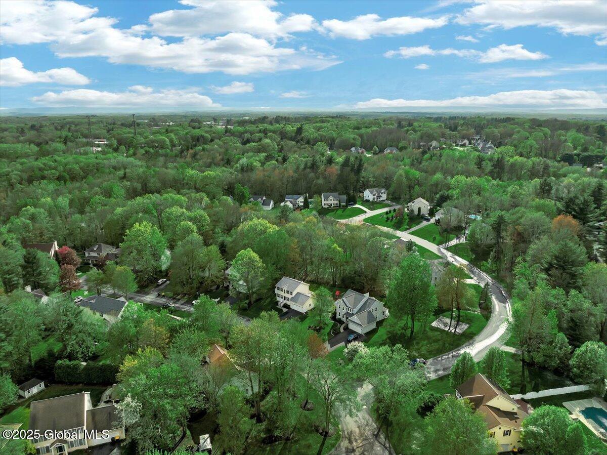 13 Willowbrook Terrace Halfmoon, NY 12065 - Photo 39 of 39 47-DJI_0646