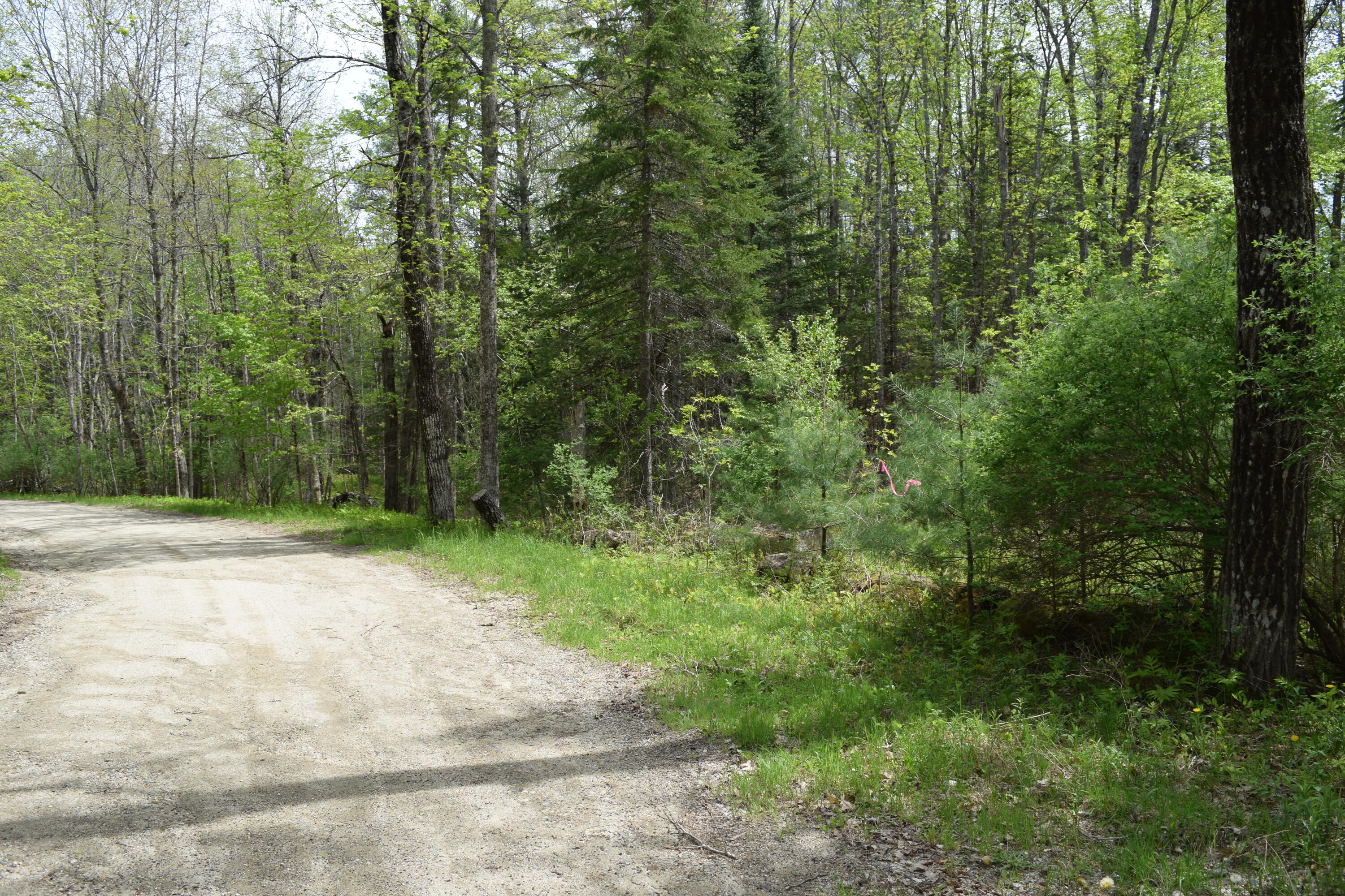Lot #30 Potter Road Lisbon, ME 04252 - Photo 4 of 13 DSC_1238