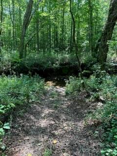 3521 Sorrells Baxter Road Cherryville, NC 28021 - Photo 13 of 32 Gallery Image 13