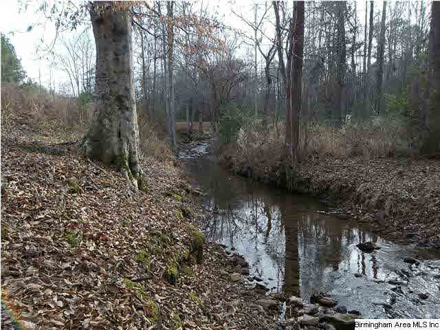 Turkey Pen Road, Unit 1 Cragford, AL 36255 - Photo 1 of 6