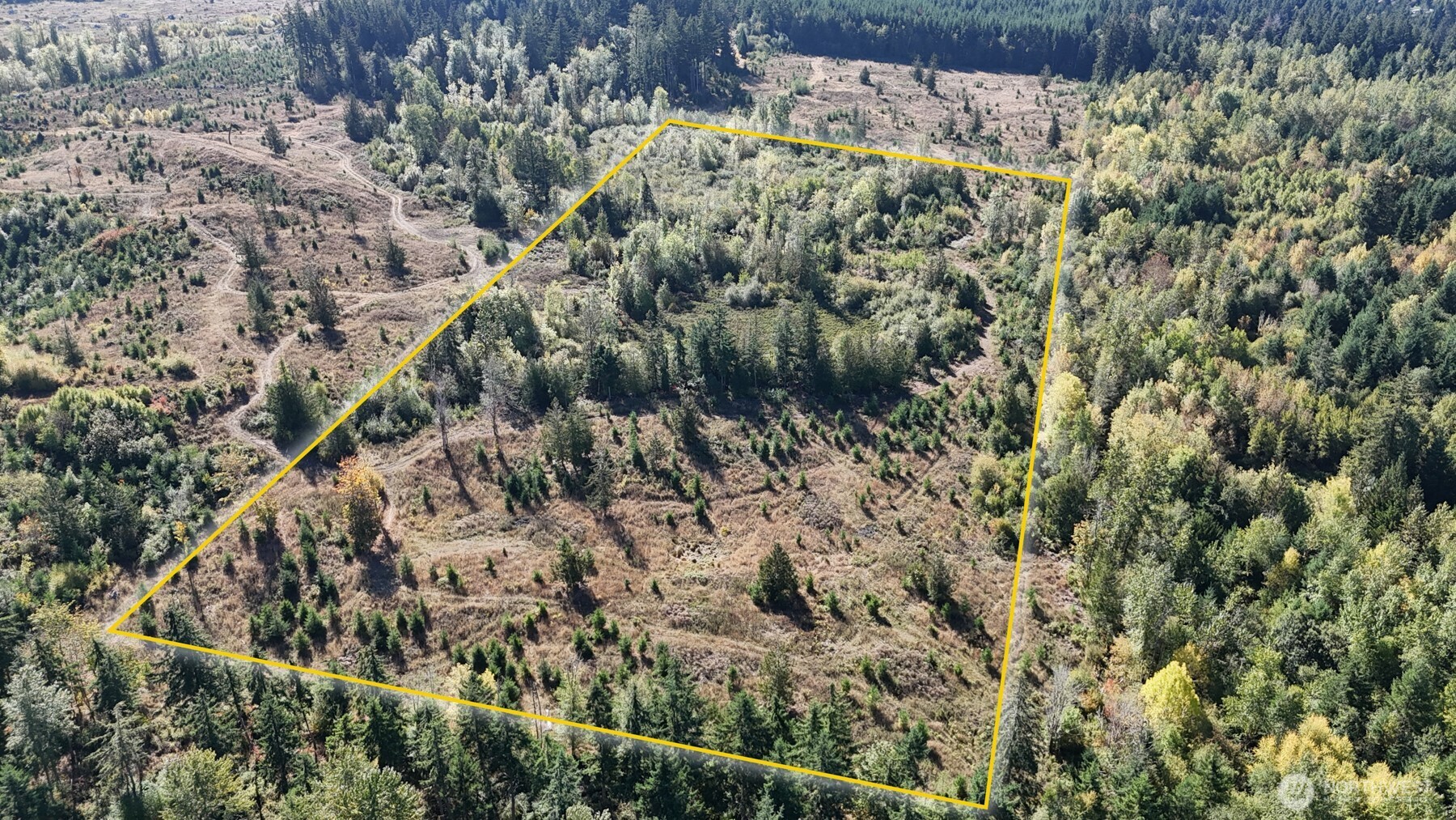 13409 Algyer Road Southeast Rainier, WA 98576 - Photo 16 of 25 Gallery Image 16