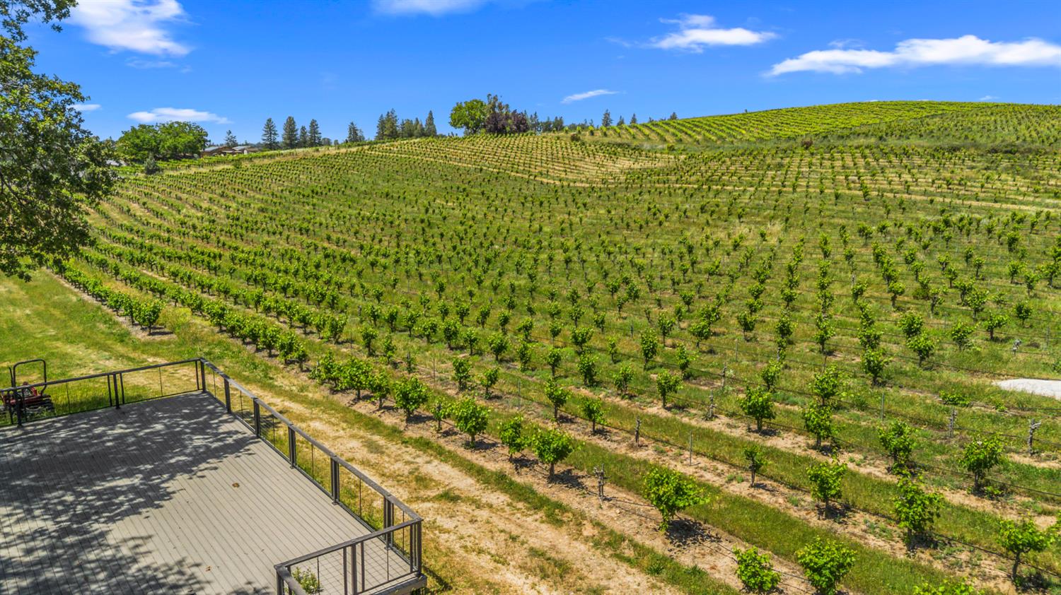 7401 Fairplay Road Somerset, CA 95684 - Photo 4 of 27
