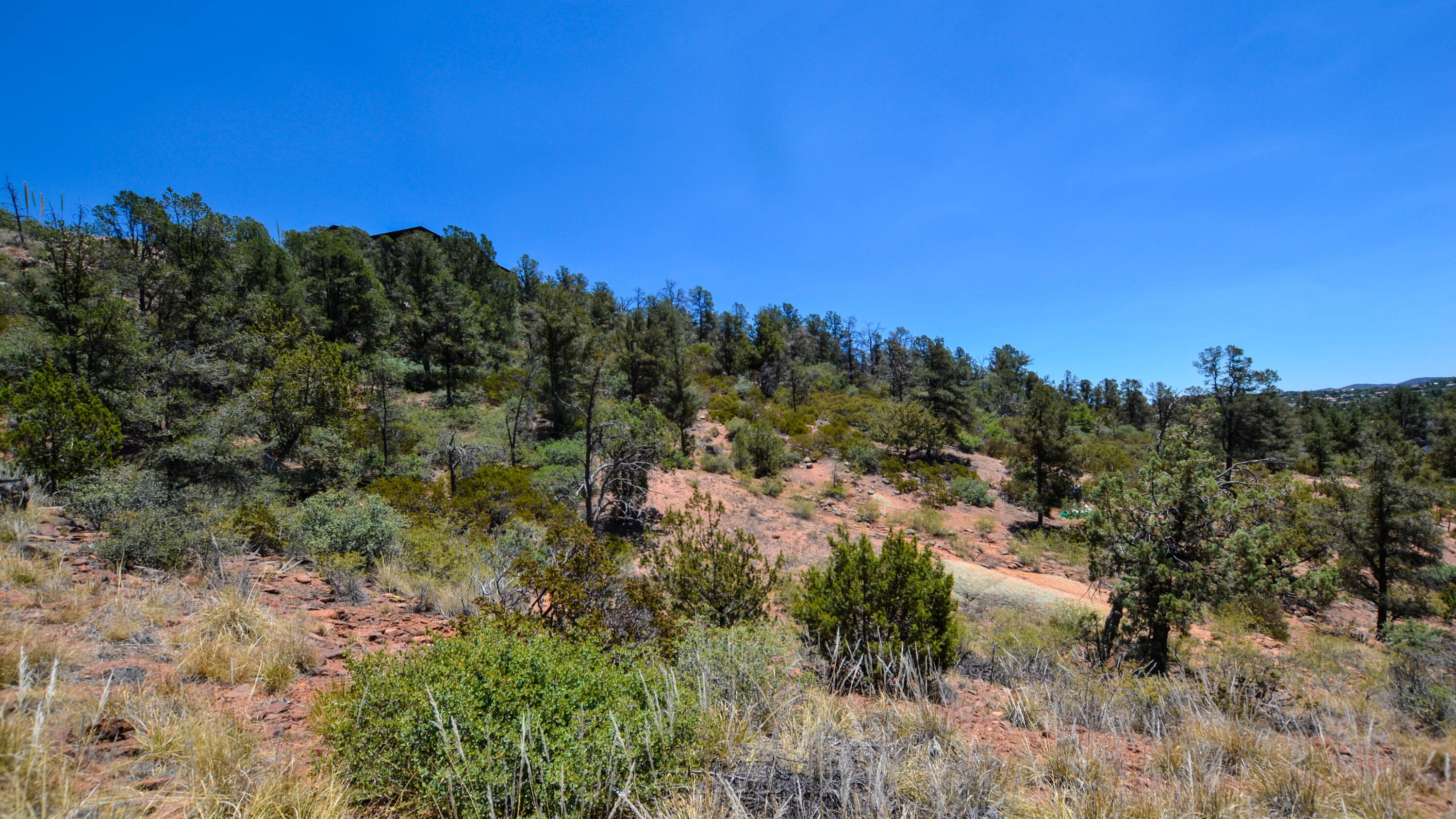 807 Thunder Ridge Circle Payson, AZ 85541 - Photo 6 of 11 a view of a yard with a tree