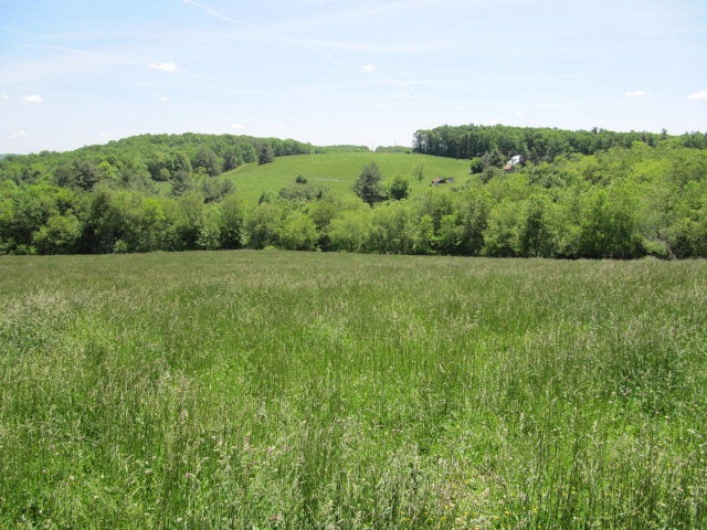 Tbd Sunny Ridge Road Northeast Check, VA 24072 - Photo 1 of 1 Gallery Image 1