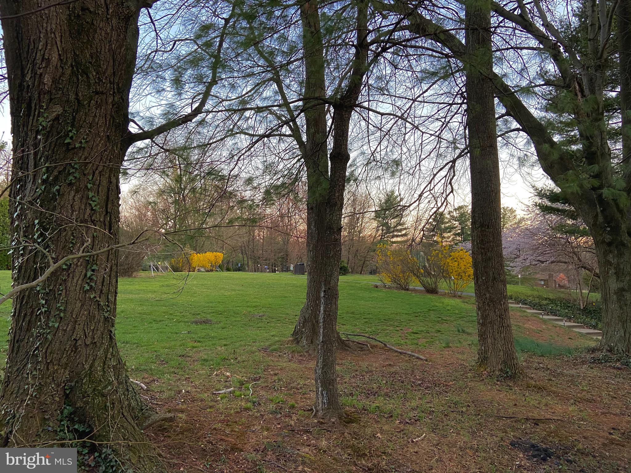 2127 Colts Neck Court Reston, VA 20191 - Photo 46 of 49 View off porch