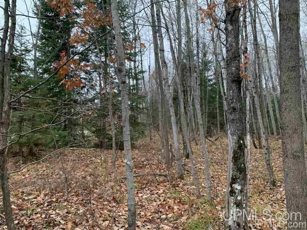 Tbd Ford Farm Road Lanse, MI 49946 - Photo 7 of 13