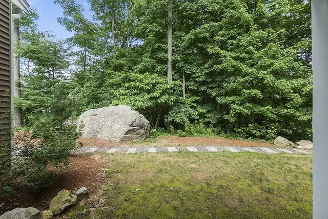 a view of a backyard with plants and large trees