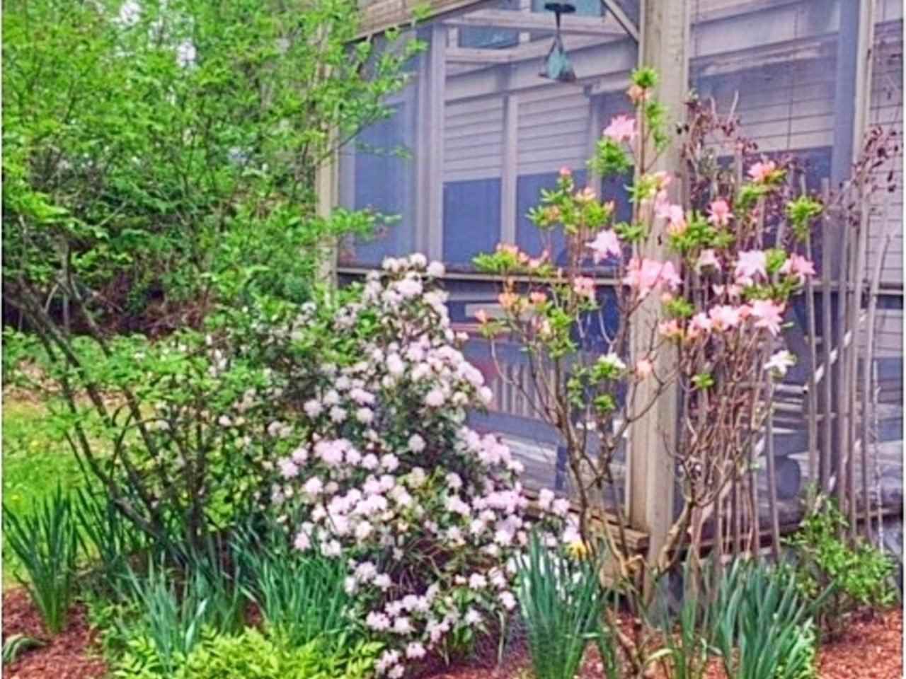166 Galvin Hill Road Colchester, VT 05446 - Photo 21 of 32 Gallery Image 21