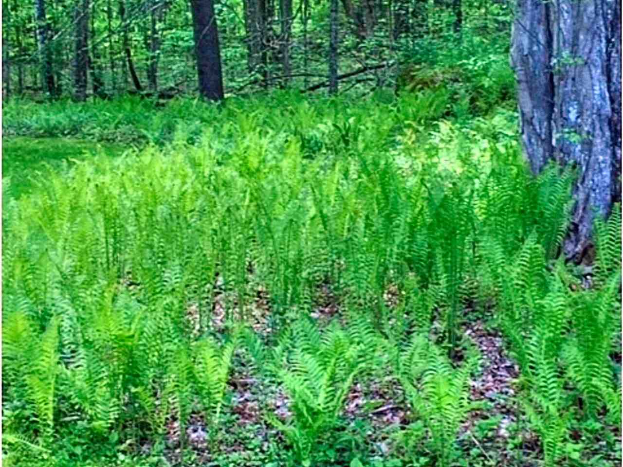 166 Galvin Hill Road Colchester, VT 05446 - Photo 25 of 32 Gallery Image 25