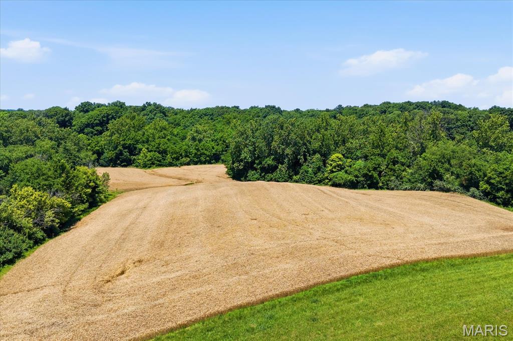 X Pine Crest Road Red Bud, IL 62278 - Photo 2 of 17