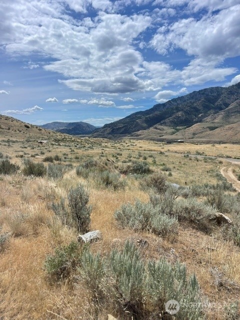 0 Lot 1 Bill Shaw Road Pateros, WA 98846 - Photo 9 of 23
