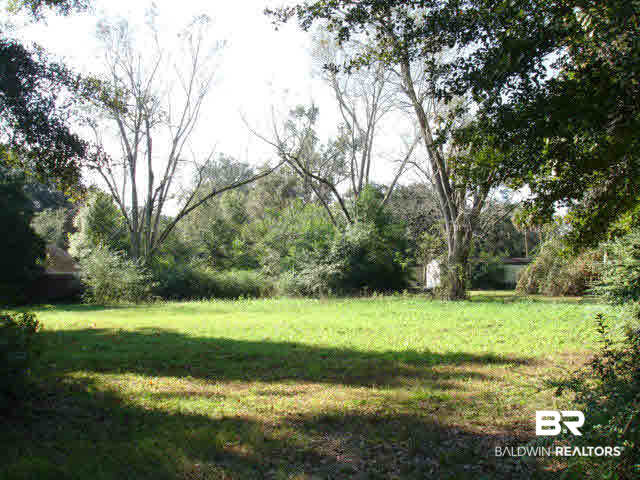 21480 Highway 98 Foley, AL 36535 - Photo 4 of 8 SOUTH WEST VIEW