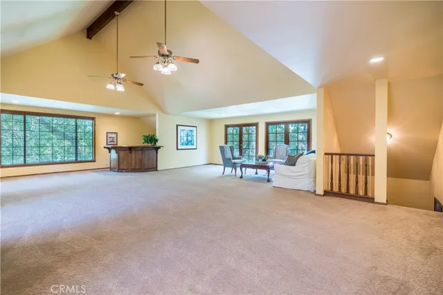 a view of a yard with plants and trees