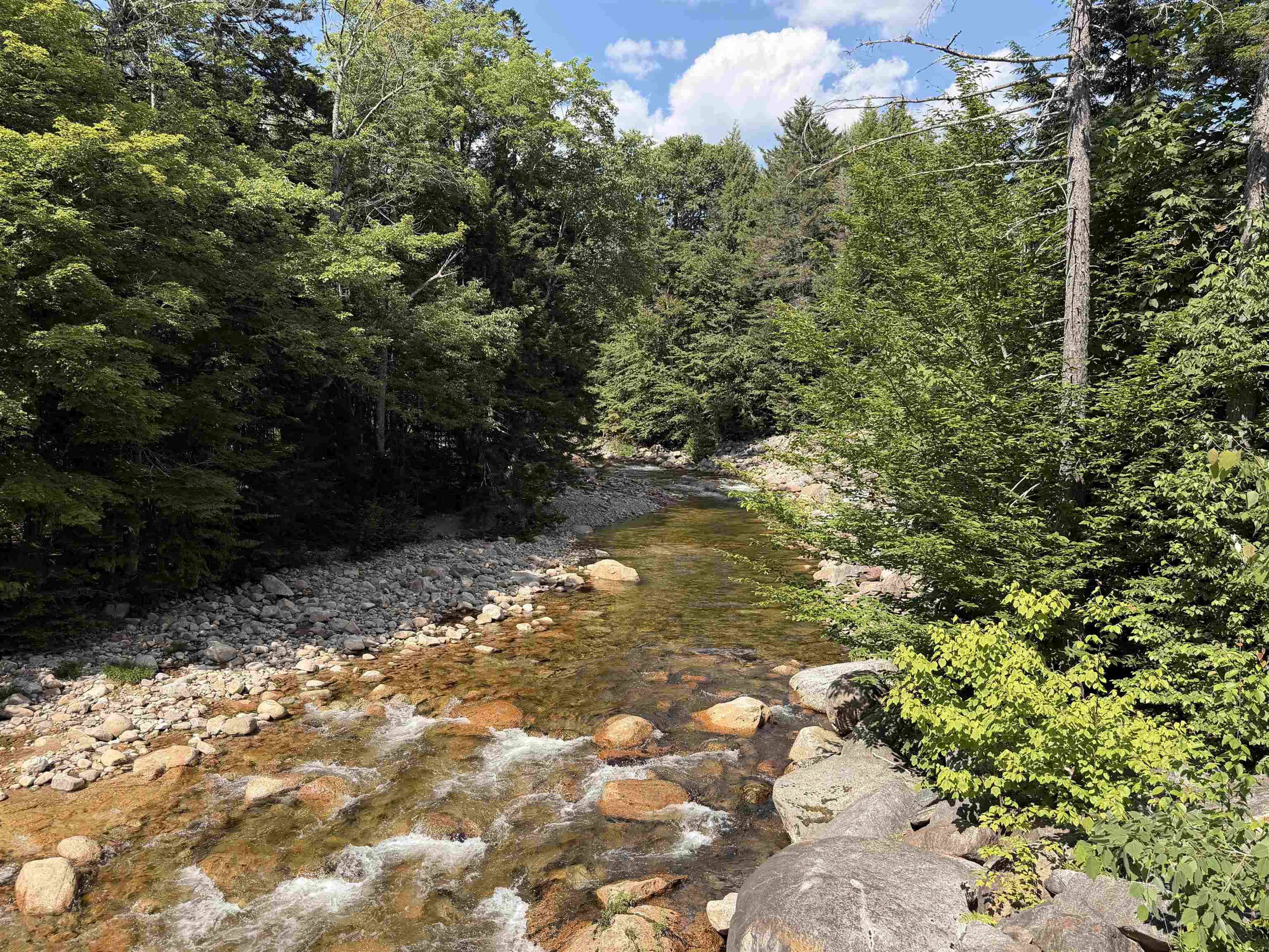 28 Tyler Spring Way, Unit 21 Waterville Valley, NH 03215 - Photo 37 of 38