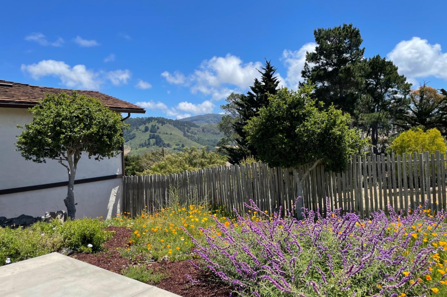 25815 Rio Vista Drive Carmel, CA 93923 - Photo 48 of 49 a garden with flowers and a trees