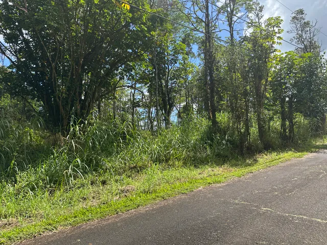 a view of outdoor space and yard