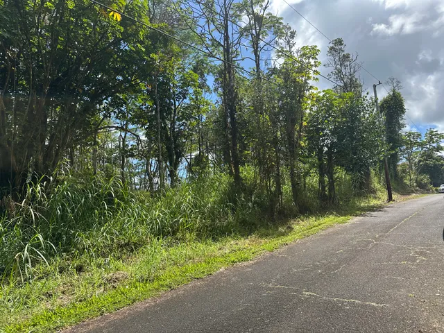 a view of a street with a trees