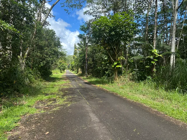 a view of outdoor space and yard
