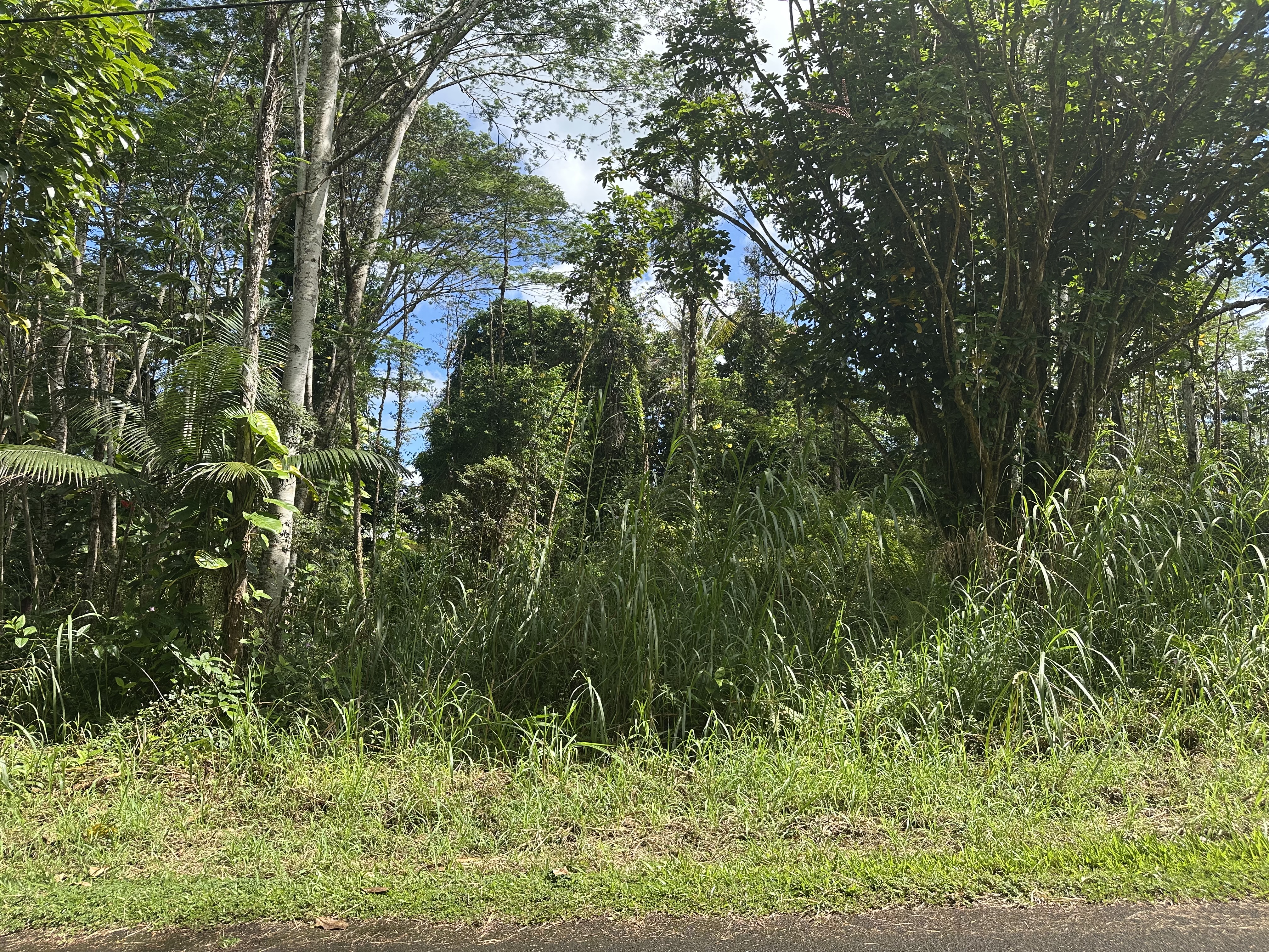 1024 Church Road Pahoa, HI 96778 - Photo 6 of 10 Gallery Image 6