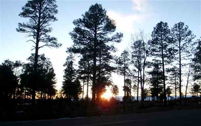 2776 West Rim Road Lakeside, AZ 85929 - Photo 2 of 5
