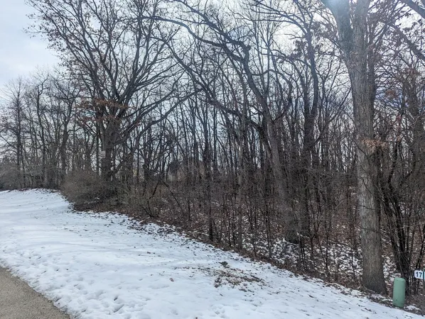 a view of a yard covered in snow