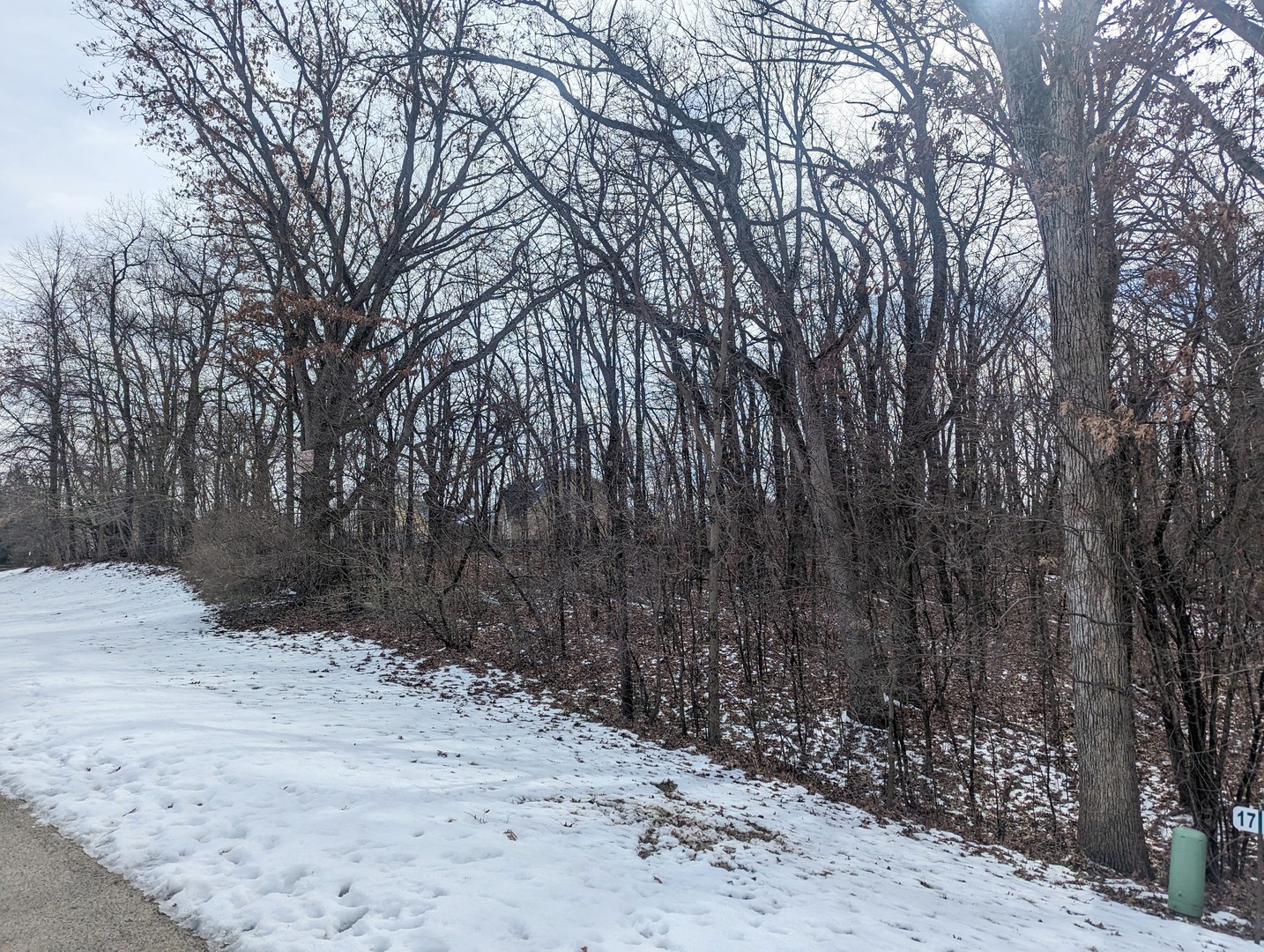 1711 Cedar Lane Spring Grove, IL 60081 - Photo 2 of 4 a view of a yard covered in snow