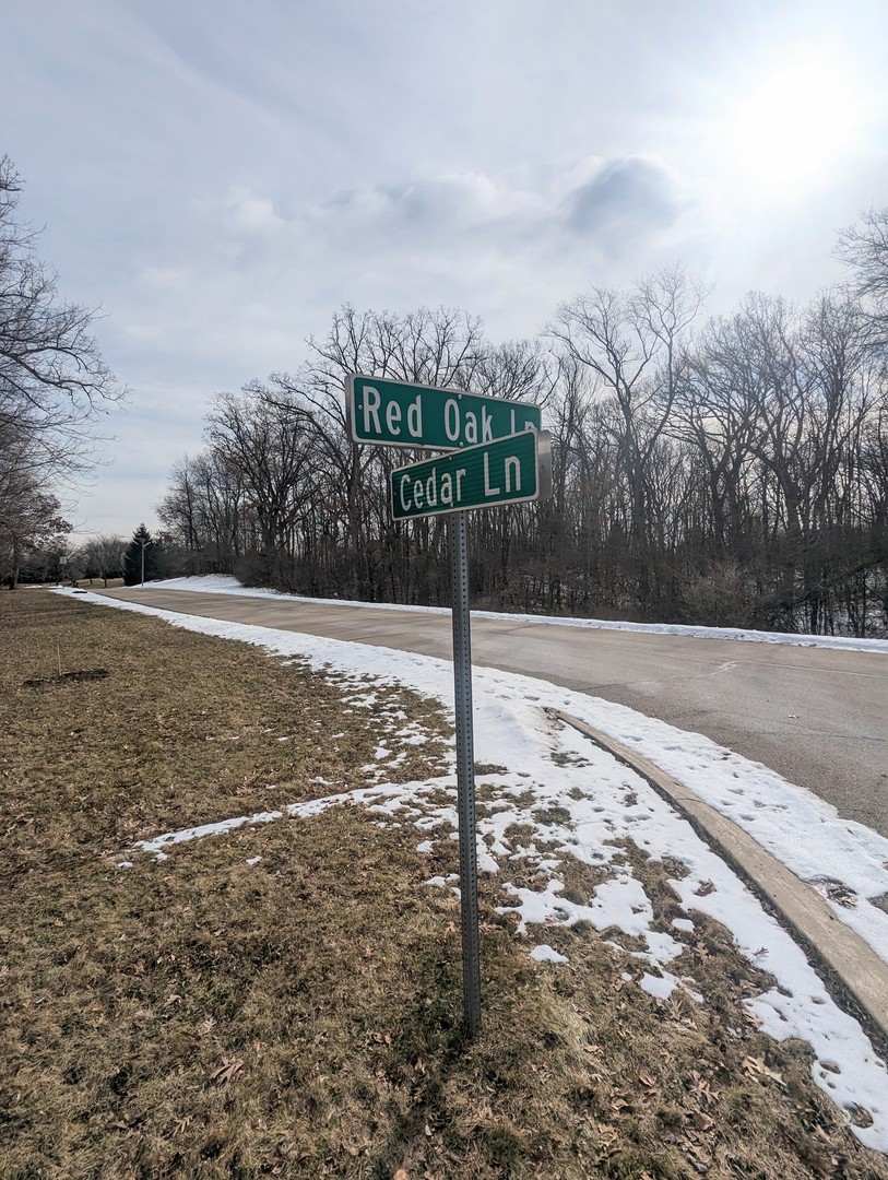 1711 Cedar Lane Spring Grove, IL 60081 - Photo 3 of 4 a view of a basketball court