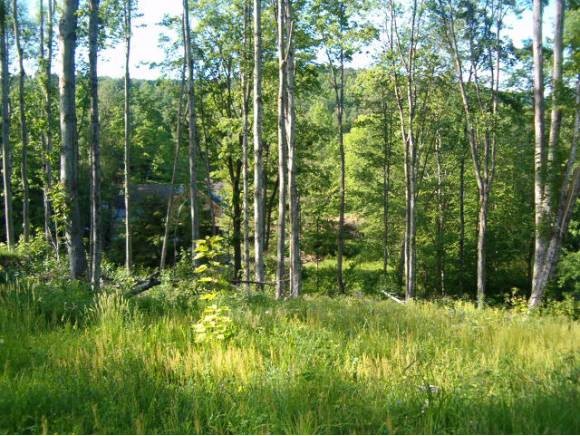 1 Green Mountain Turnpike Rockingham, VT 05143 - Photo 1 of 1