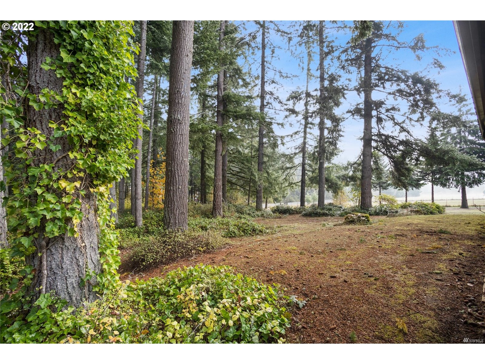 248 Coma Road Winlock, WA 98596 - Photo 24 of 30 a backyard of a house with lots of green space