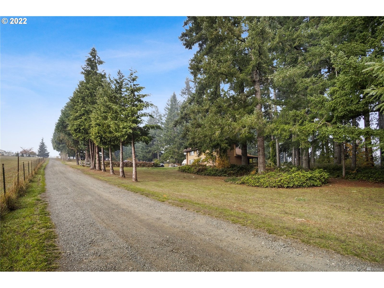 248 Coma Road Winlock, WA 98596 - Photo 25 of 30 a view of a yard with an trees