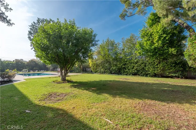 a view of a trees in a yard