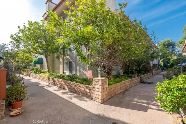 a view of a street with potted plants and a large tree