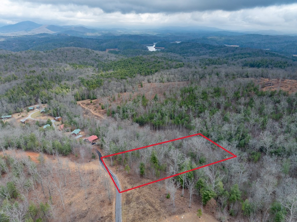 Lot 63 Lake Wood Road Murphy, NC 28906 - Photo 10 of 28