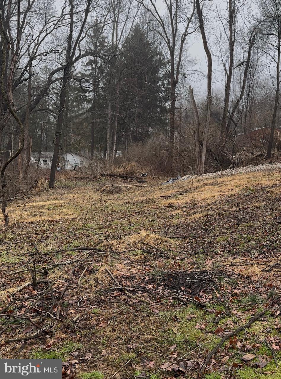 Neill Run Road Delta, PA 17314 - Photo 11 of 14 a view of a yard with trees