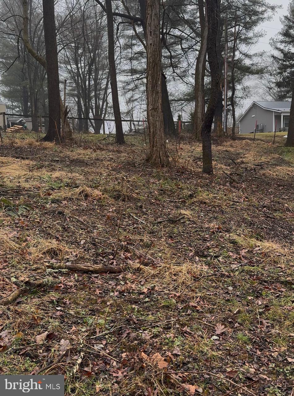 Neill Run Road Delta, PA 17314 - Photo 13 of 14 a view of a yard with a tree