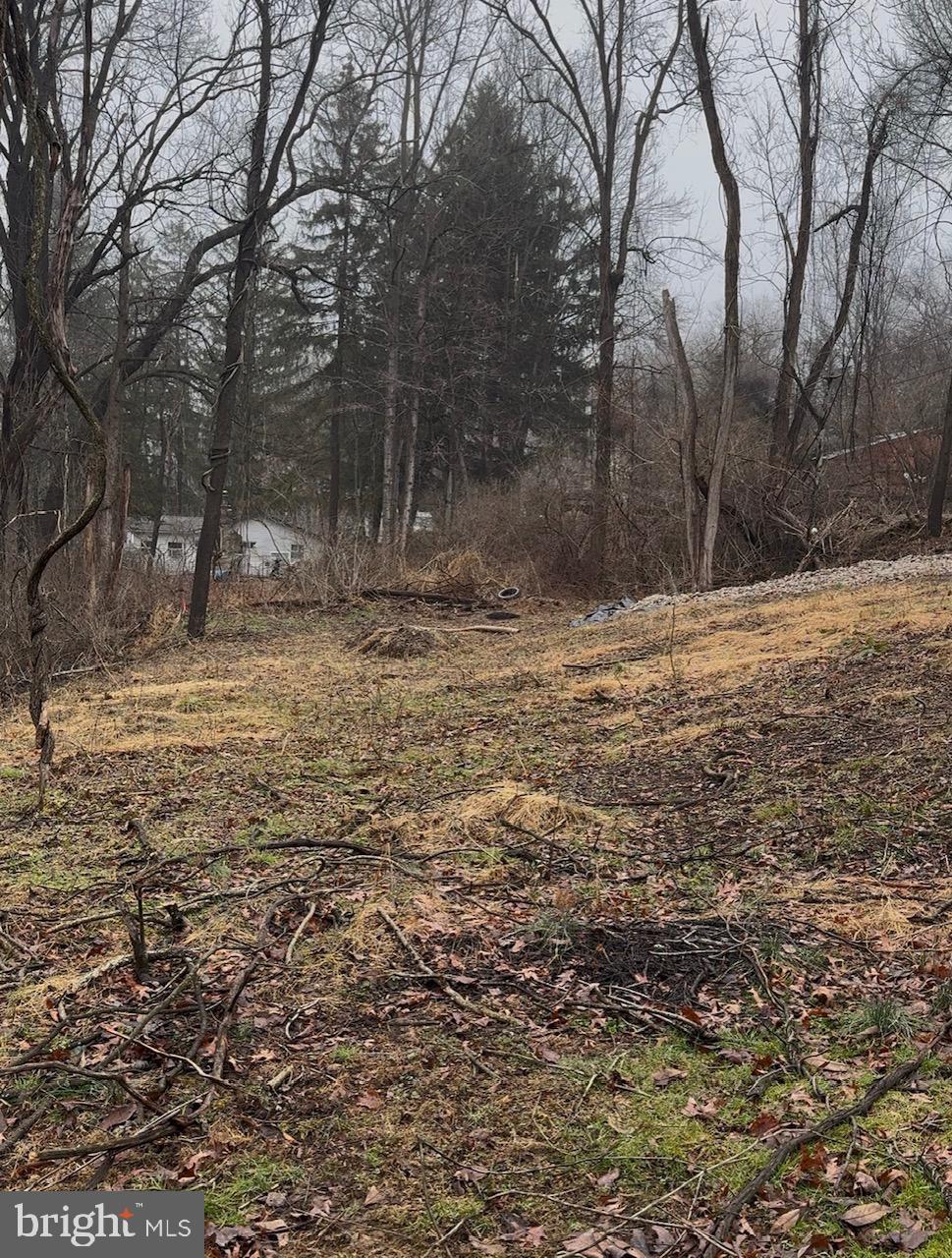Neill Run Road Delta, PA 17314 - Photo 7 of 14 a view of a yard with a tree