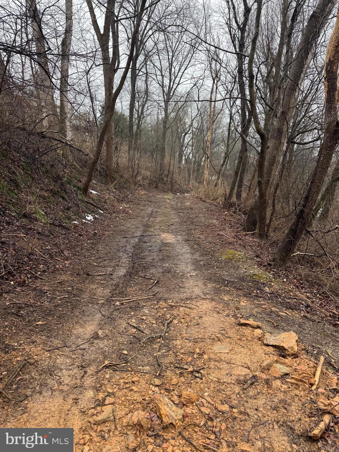 Neill Run Road Delta, PA 17314 - Photo 9 of 14 a view of a yard with trees