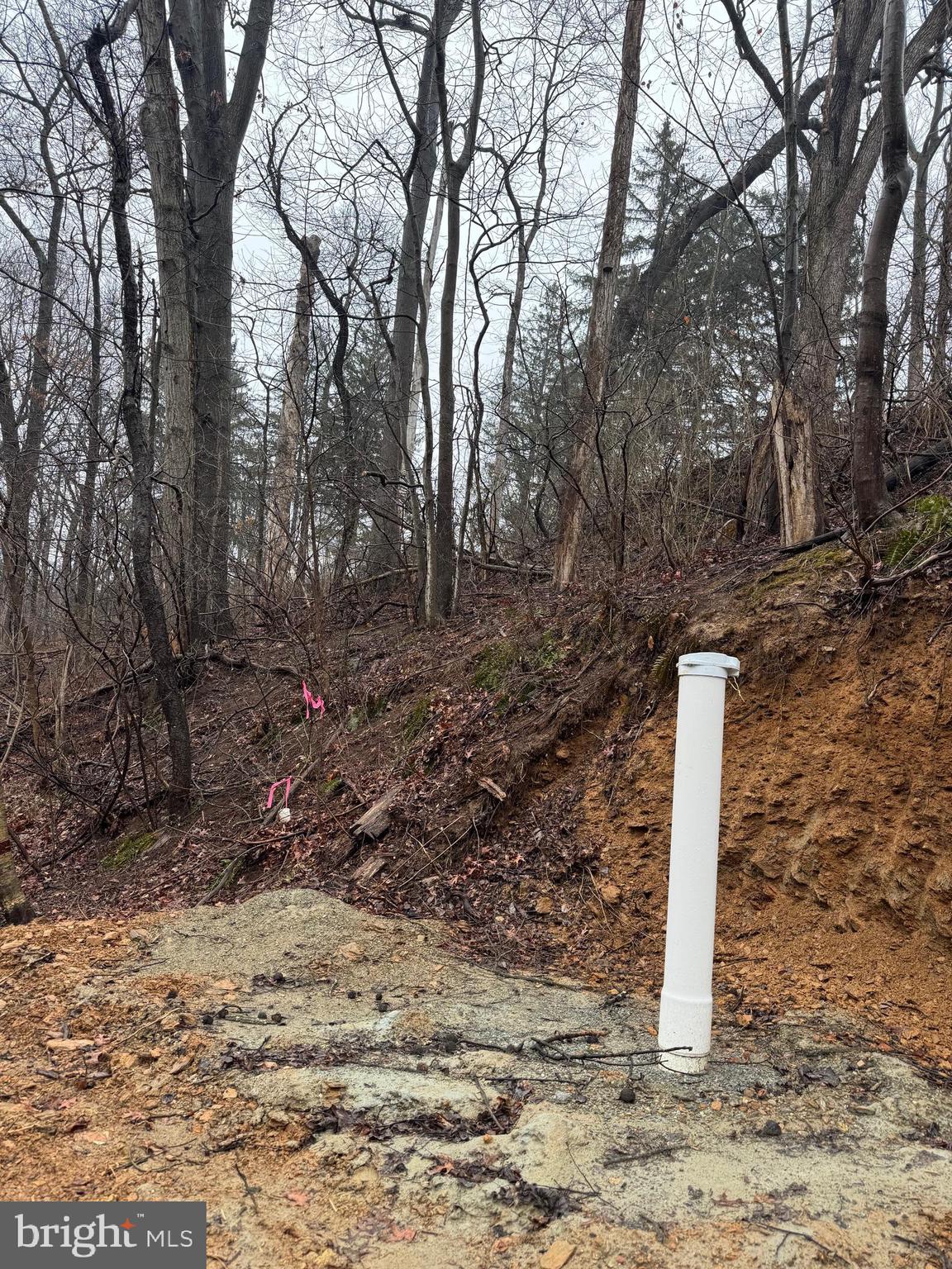 Neill Run Road Delta, PA 17314 - Photo 10 of 14 a view of a yard with trees