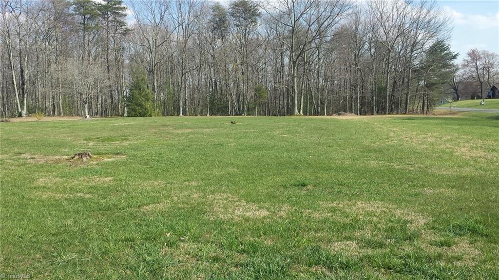 1174 Slate Mountain Road Mount Airy, NC 27030 - Photo 5 of 19 Gallery Image 5
