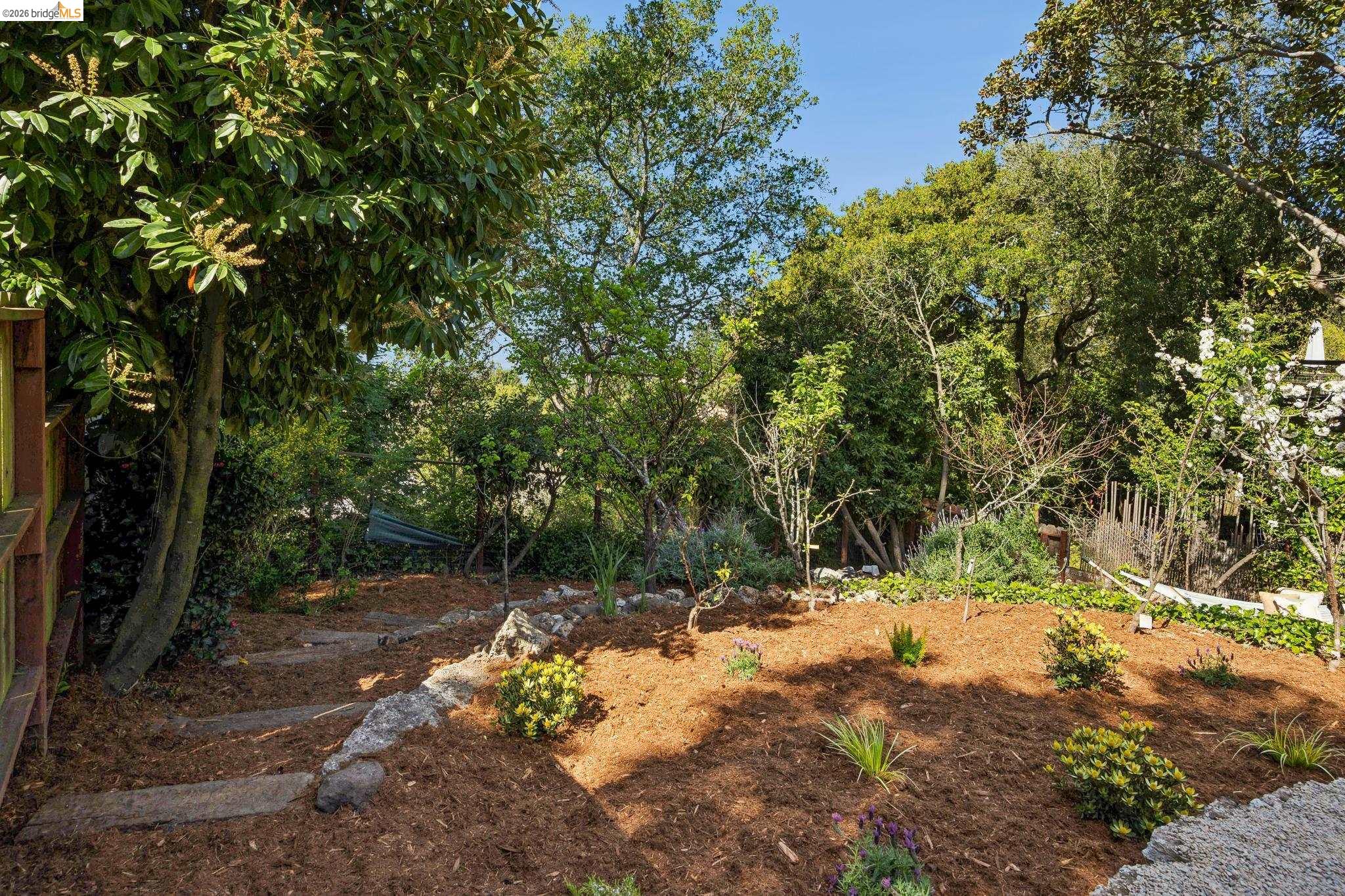 2924 Shasta Road Berkeley, CA 94708 - Photo 35 of 38